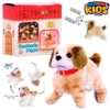 Fantastic Jumping 360 Back Flip and Sitting Soft Puppy Toy With Puppy Sound - Toy For Kids Playing and Fun Toys - Jumping Dog - Perfect For Birthday Gift - Operated Battery - Size Approx. 7 Inches - Assorted Color